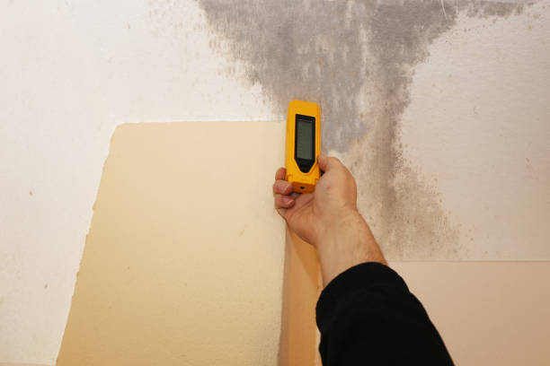 Asbestos and Lead Testing During Mold Inspection in Cane Savannah, SC