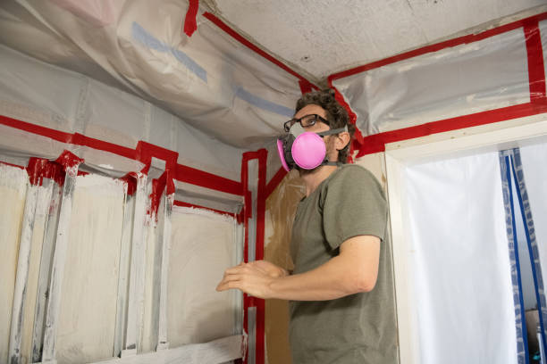 Best Attic Mold Removal  in Cane Savannah, SC