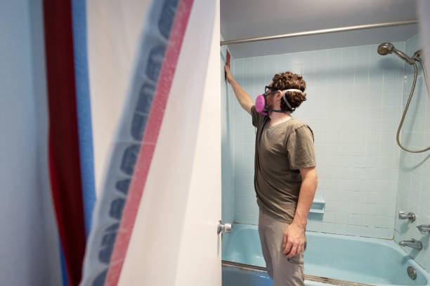 Dehumidification Services in Cane Savannah, SC