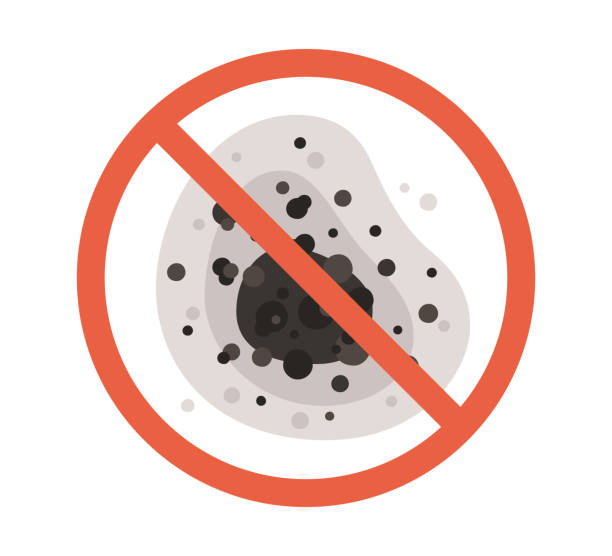 Best Residential Mold Inspection & Testing  in Cane Savannah, SC