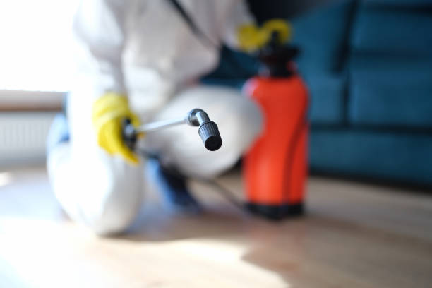 Best Post-Construction Mold Inspection  in Cane Savannah, SC