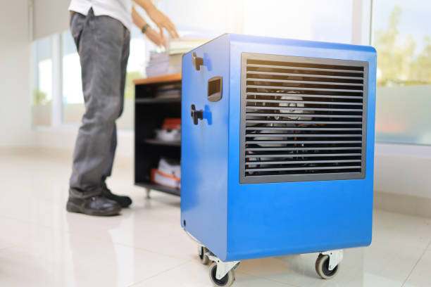 Best Mold Prevention Services  in Cane Savannah, SC