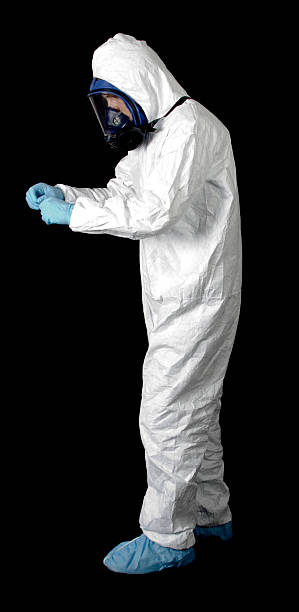Best Mold Removal for HVAC Installations  in Cane Savannah, SC