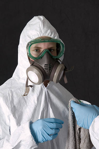 Best Water Damage & Mold Remediation  in Cane Savannah, SC